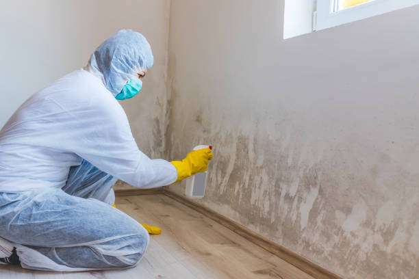 Hvac And Air Duct Mold Remediation inspection of HVAC system in Comstock Park