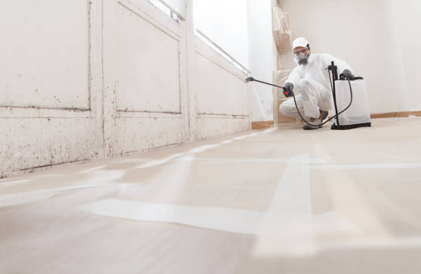 Black mold remediation team in Comstock Park